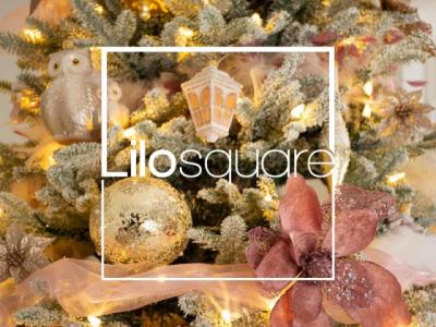 lilosquare-614ce009a3711-400 for Lilosquare