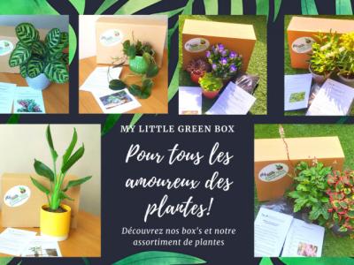 mylittlegreenbox-6162903f148e1-400 for My little green box 