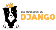 logo for Les douceurs de django