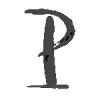 logo for Porcepolis