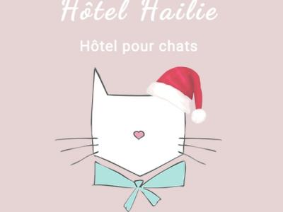 hotelhailie-614cdfeb9501d-400 for Hôtel Hailie - Hôtel pour chats