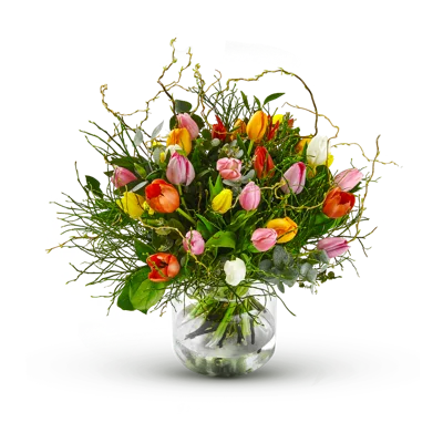 versailles-fleurs-multi-tulipa-400 for Versailles Fleur